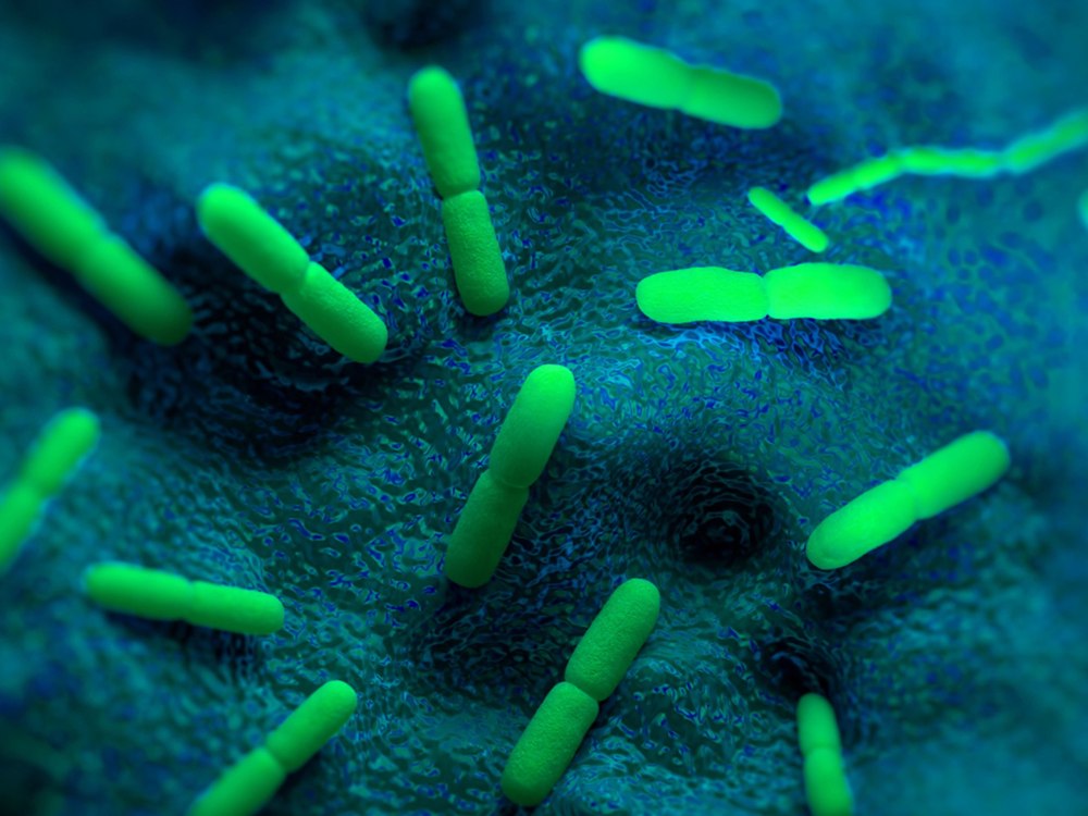 Yersinia pestis вакцина