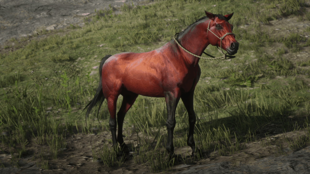 Red Dead Redemption 2 теннессийская лошадь