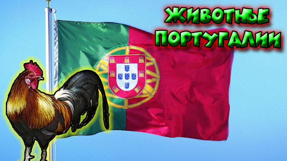Национальное животное Польши