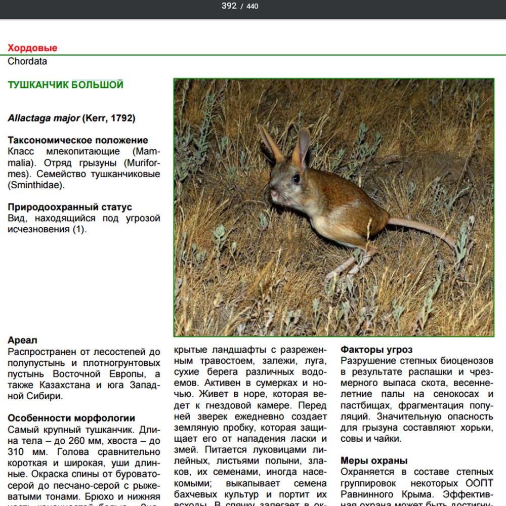 Дикие животные в красной книге Азербайджана