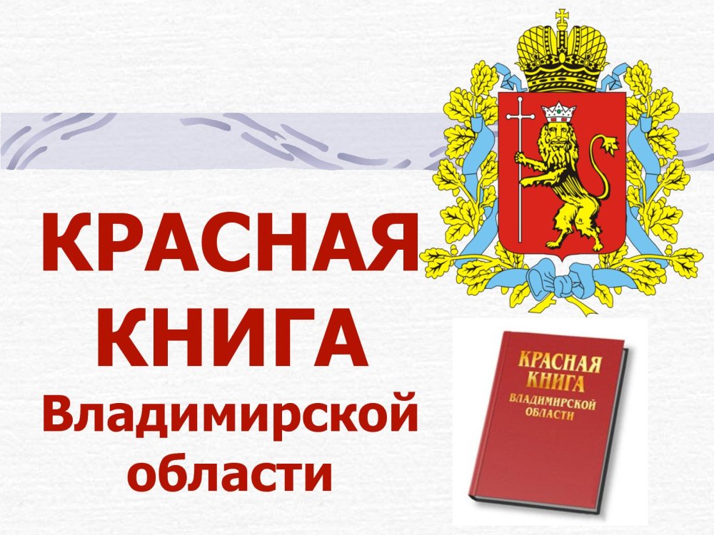 Красная книга Владимирской области обложка
