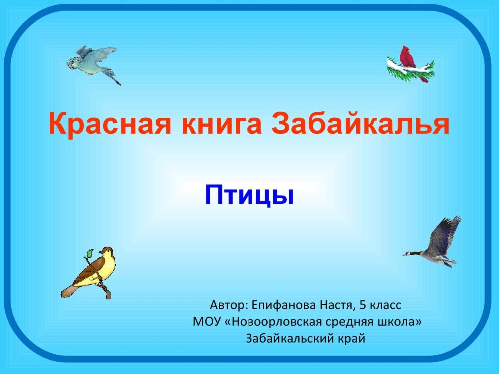 Красная книга Забайкалья птицы