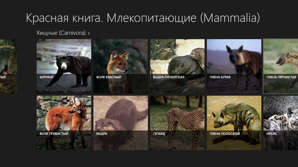 Красная книга России млекопитающие