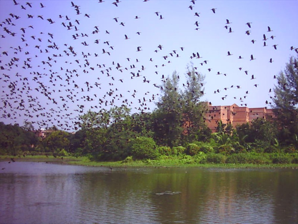 SSB Hall Jahangirnagar