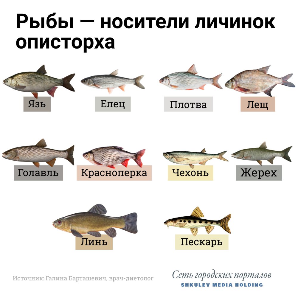 Название рыб