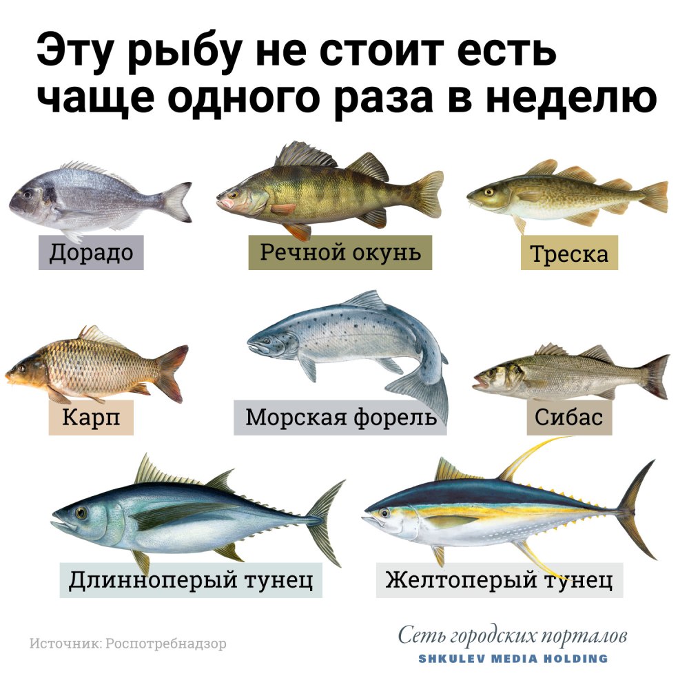 Морская рыба названия