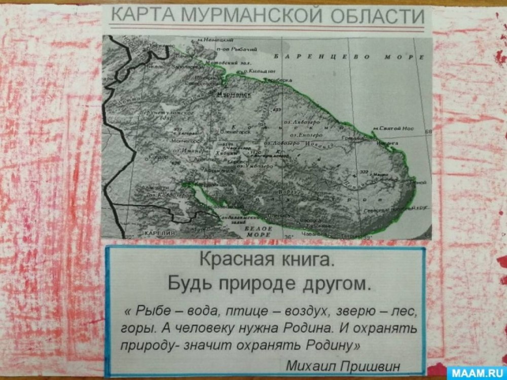 Красная книга Мурманской области фото