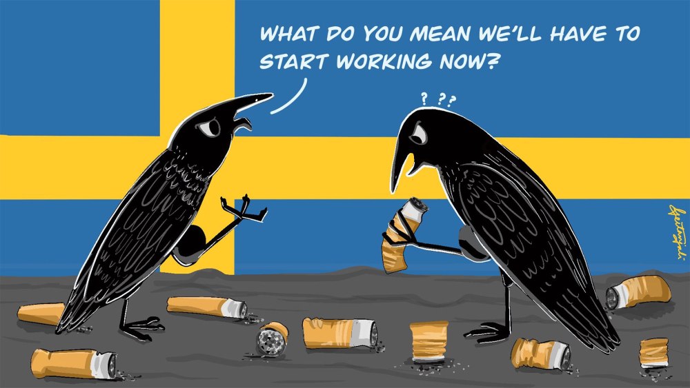 Sweden Crow